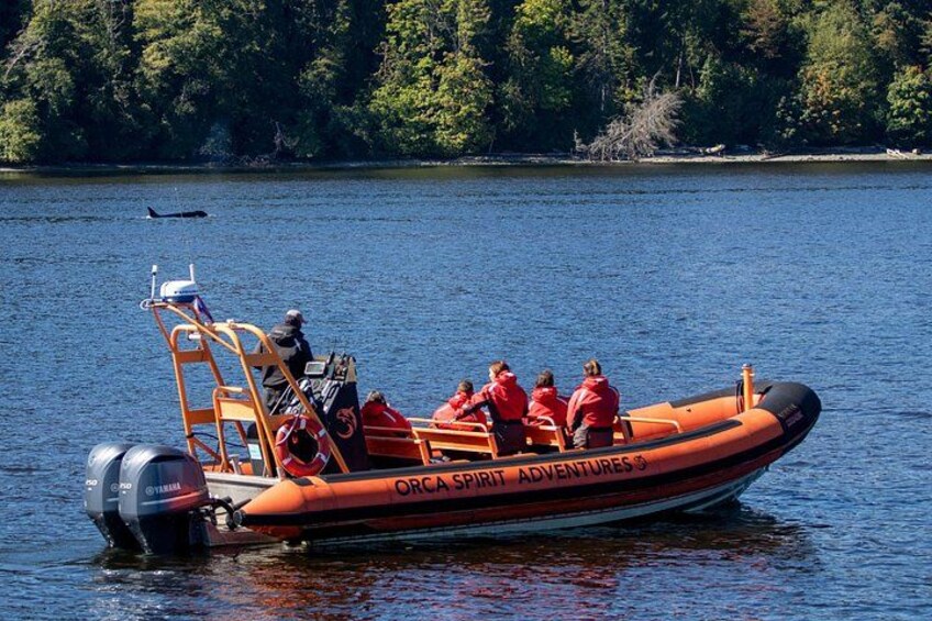 A small orange boat with people wearing red life jackets on a calm lake. 4