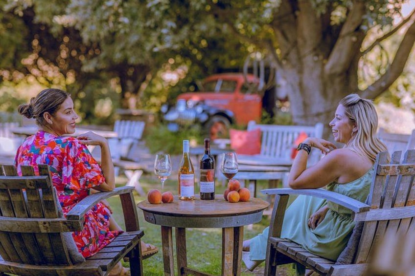 Guests enjoy Grapeline's premier tour package which includes all tastings and a guided tour 2