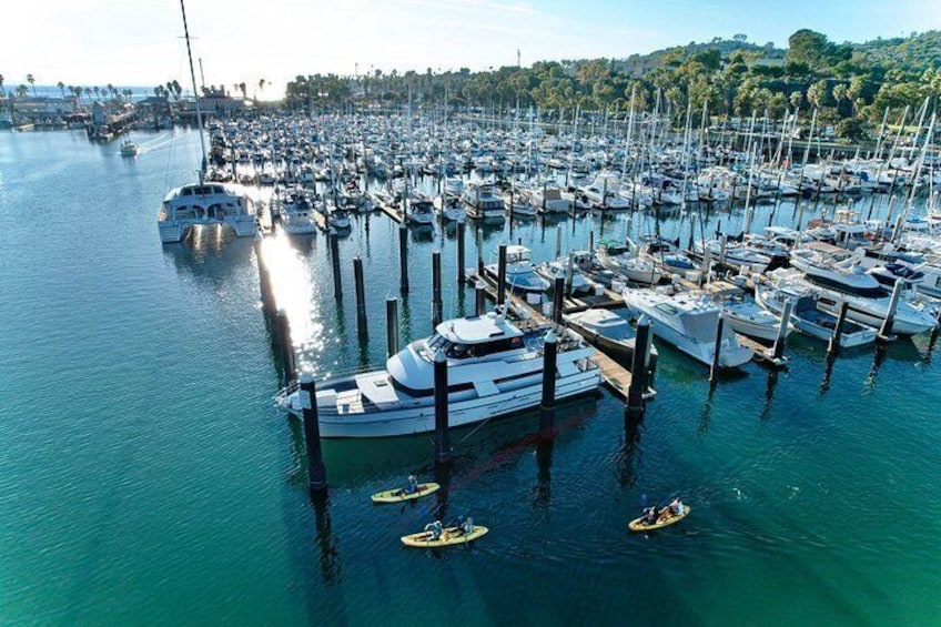 Wildlife Kayak Tour in Santa Barbara Harbor (2 Hours) 2