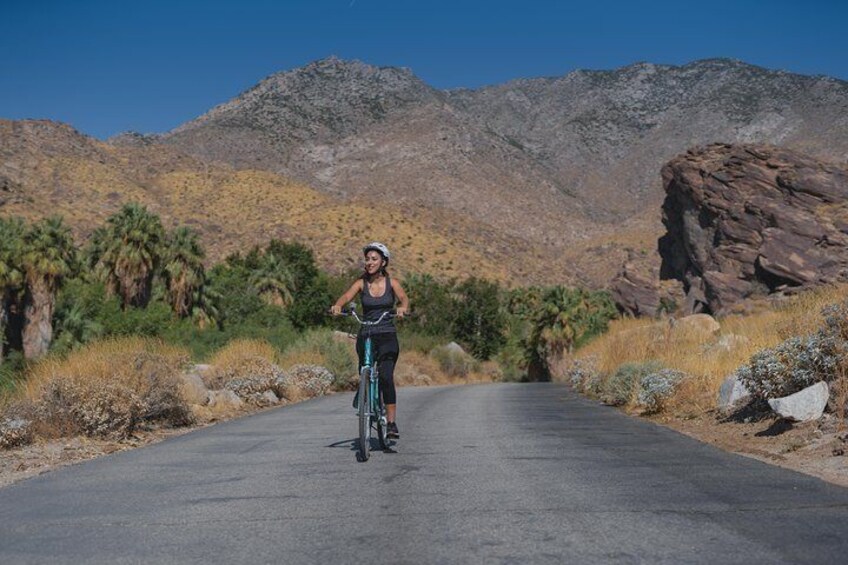 Lush green oases sit at the base of the rugged San Jacinto mountains