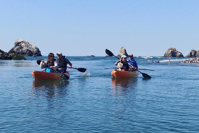 Dos kayaks sobre aguas tranquilas, con afloramientos rocosos al fondo. 4