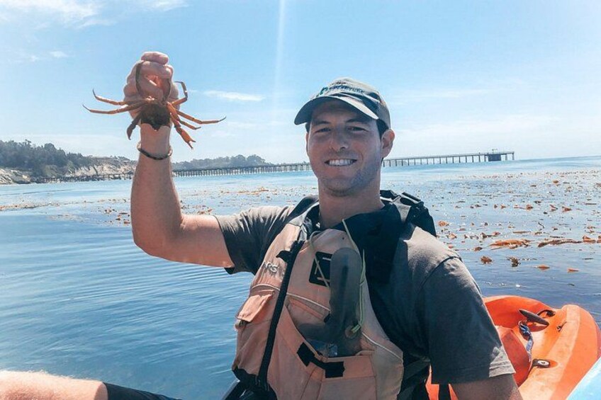 Gaviota Coast Kayak Tour Near Santa Barbara (3.5 Hours) 3