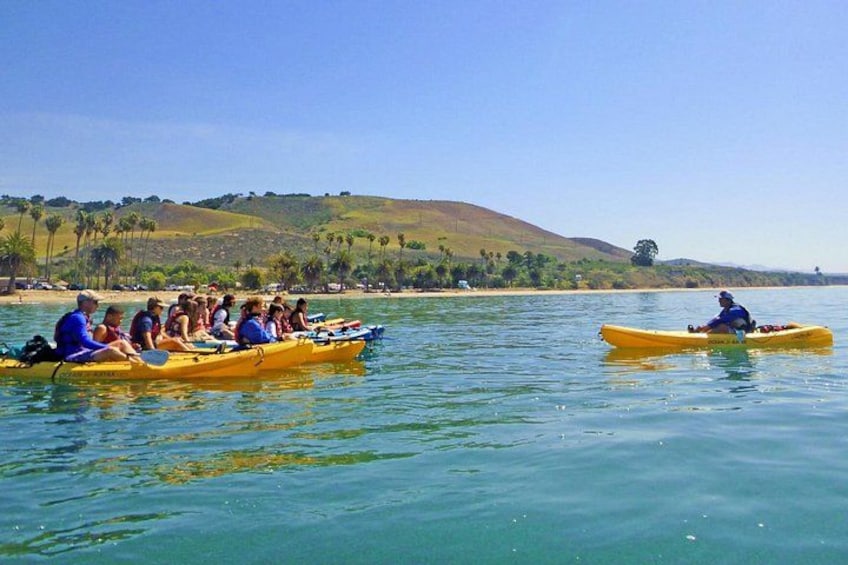 Gaviota Coast Kayak Tour Near Santa Barbara (3.5 Hours) 2