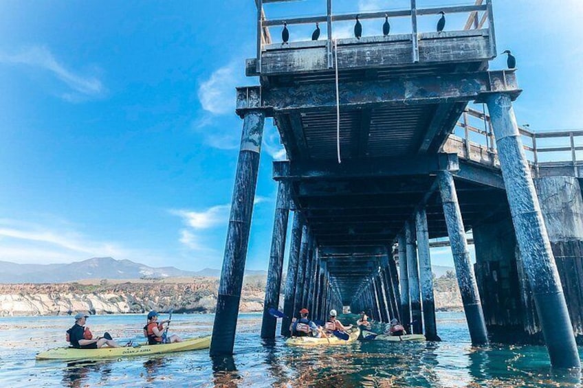 Gaviota Coast Kayak Tour Near Santa Barbara (3.5 Hours) 2