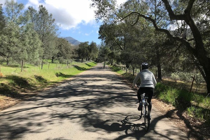 Wine Country Half-Day Bike Tour from Solvang - w/o Lunch 1
