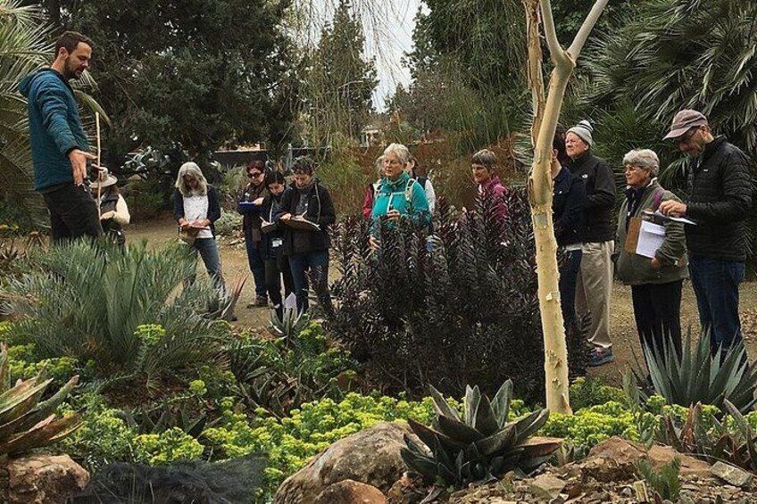 Ruth Bancroft Garden General Admission Ticket 2