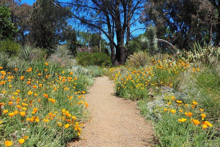 Ruth Bancroft Garden General Admission Ticket 4