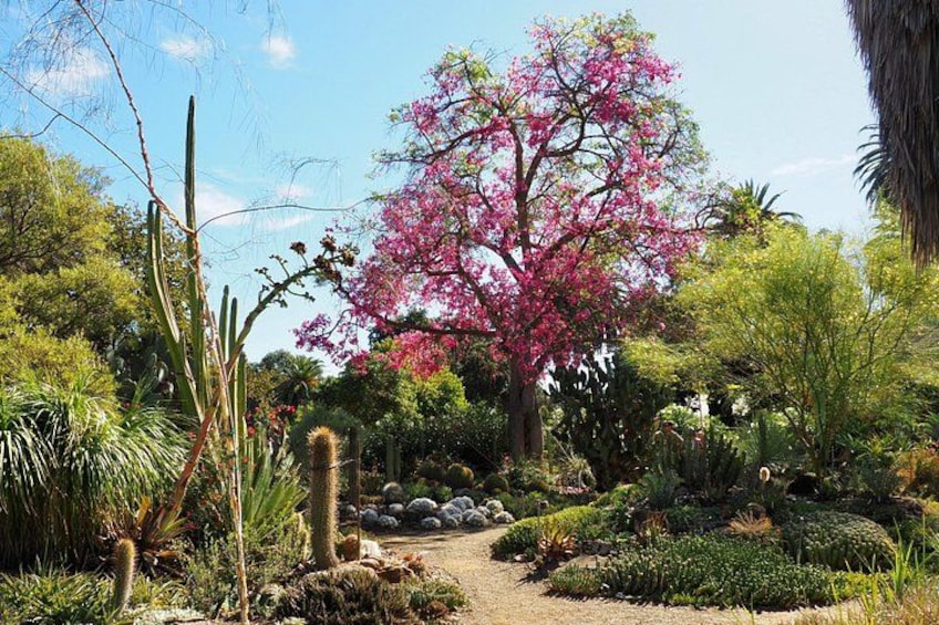 Ruth Bancroft Garden General Admission Ticket 1