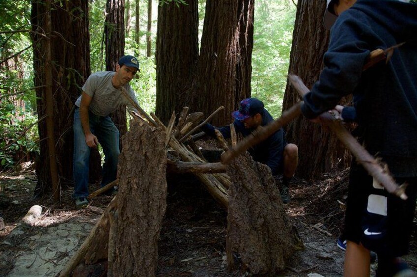 People cutting a tree in a forest. 2