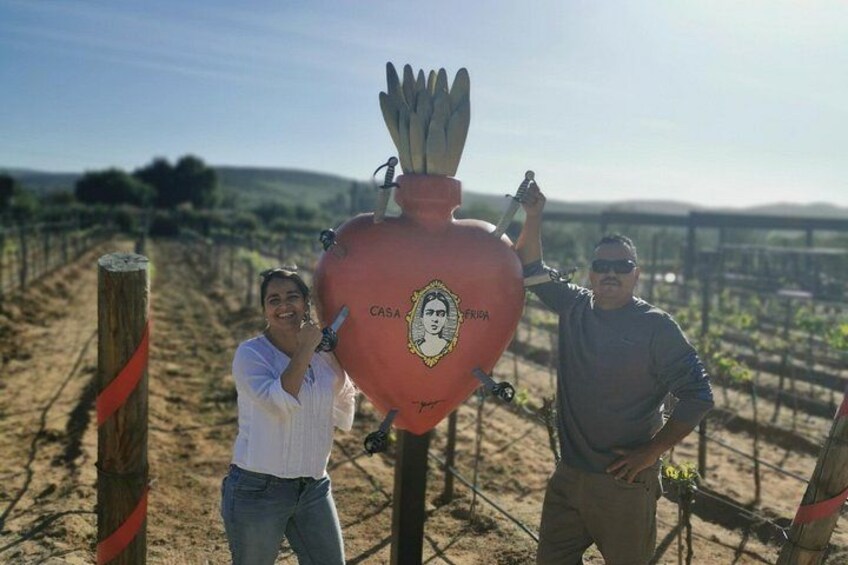 Grand Mexico Wine Country Tour from San Diego 4