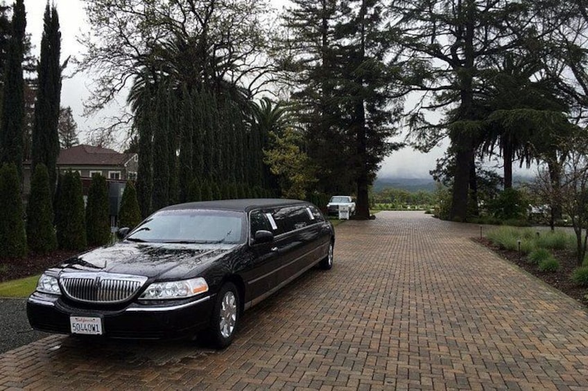 A black car parked on a brick driveway in a residential area with tall trees and a house in the background. 1