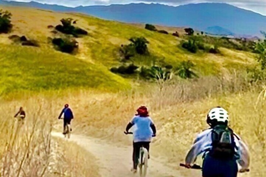 Cheeseboro Electric Mountain Biking Experience Agoura (Intermediate)