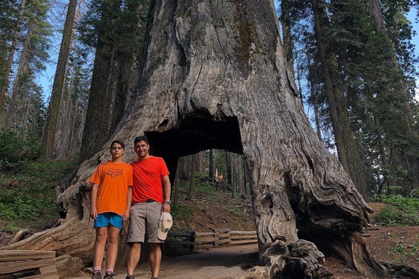 Giant Sequoia Add On 1