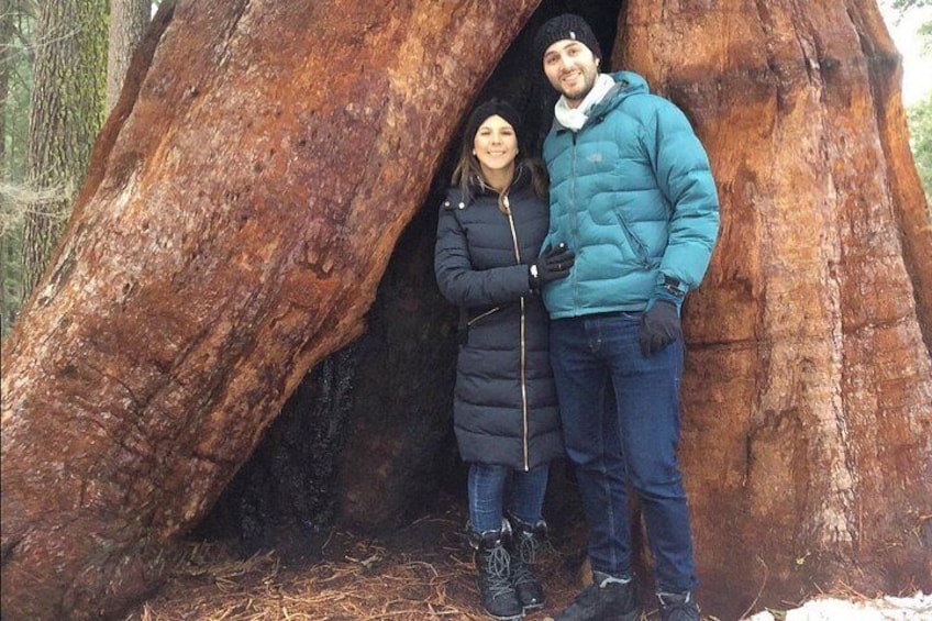 A couple standing in front of a large tree with a hollow. 2