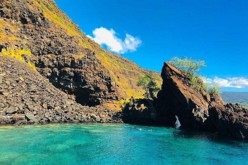 Kona Snorkel Tour: Captain Cook Reef Snorkel, Dolphin & Sea Caves 2