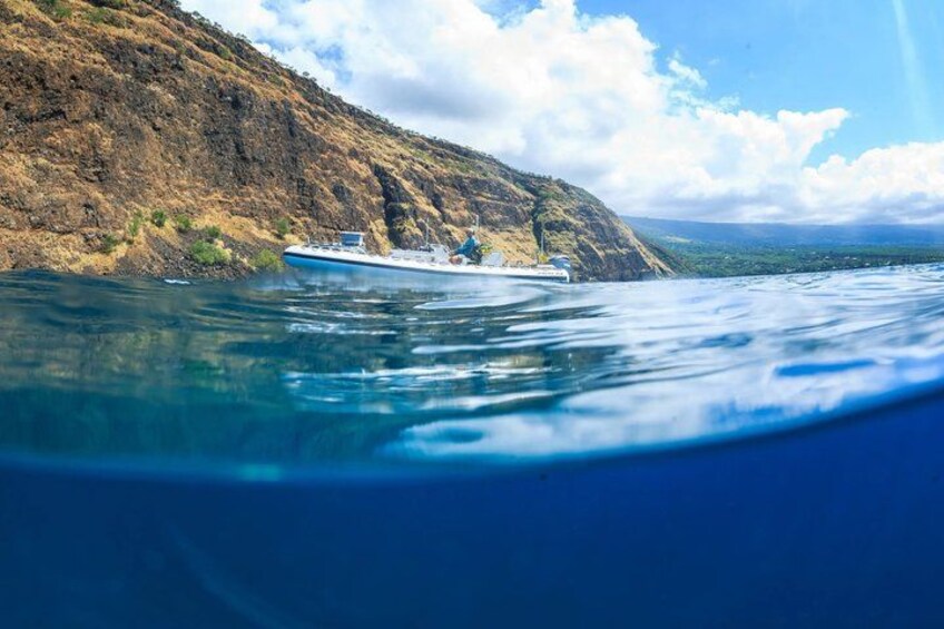 Kona Snorkel Tour: Captain Cook Reef Snorkel, Dolphin & Sea Caves 3