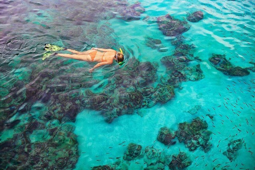A person snorkeling in clear turquoise water with visible underwater rocks and fish. 3