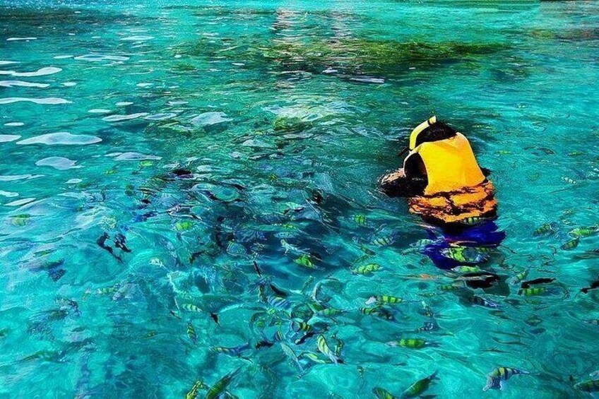 Kona Snorkel Tour: Captain Cook Reef Snorkel, Dolphin & Sea Caves 2