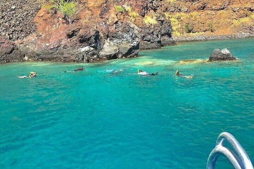 Kona Snorkel Tour: Captain Cook Reef Snorkel, Dolphin & Sea Caves 2