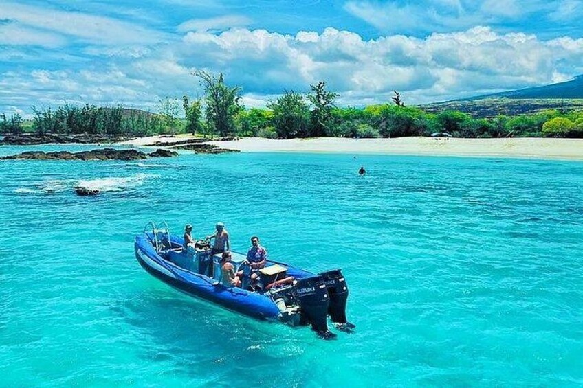 Kona Snorkel Tour: Captain Cook Reef Snorkel, Dolphin & Sea Caves 2