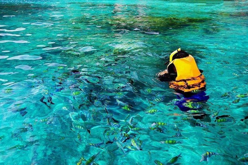 Une personne portant un gilet de sauvetage jaune nage dans une eau d’un bleu limpide, entourée de poissons tropicaux. 5