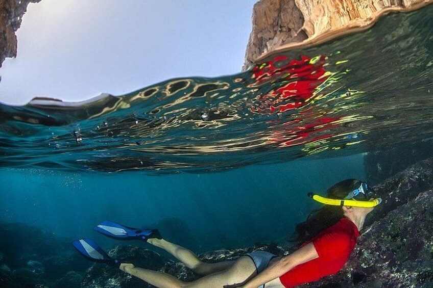 Kona Snorkel Tour: Captain Cook Reef Snorkel, Dolphin & Sea Caves 5