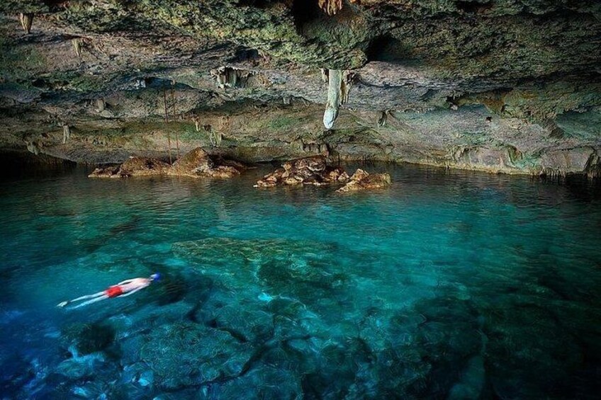 Kona Snorkel Tour: Captain Cook Reef Snorkel, Dolphin & Sea Caves 4