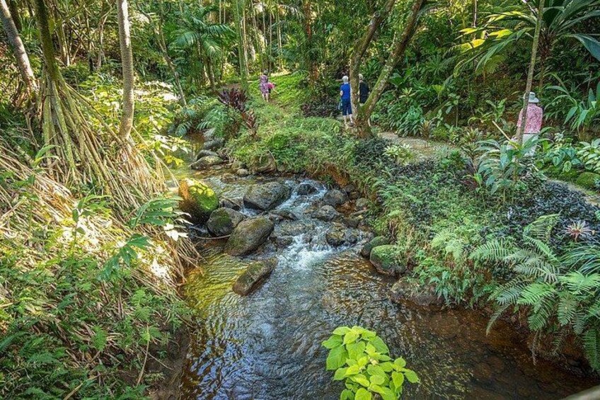 Princeville Botanical Gardens Tour and Chocolate Tasting Ticket 1