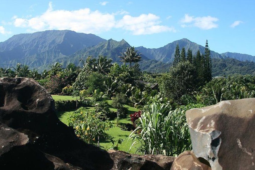 A lush garden with tropical plants, a large rock formation, and a mountain range in the background. 4