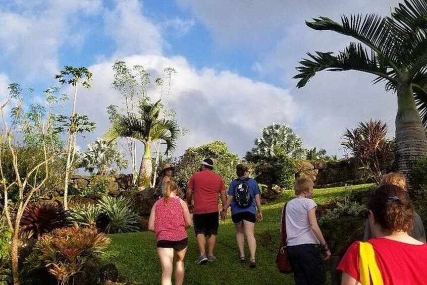 A group of people walking on a grassy path surrounded by tropical vegetation. 3