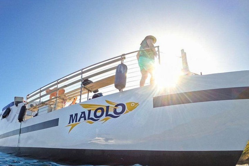 The Mololo Molokini, Turtle Town, and Coral Gardens snorkels 2