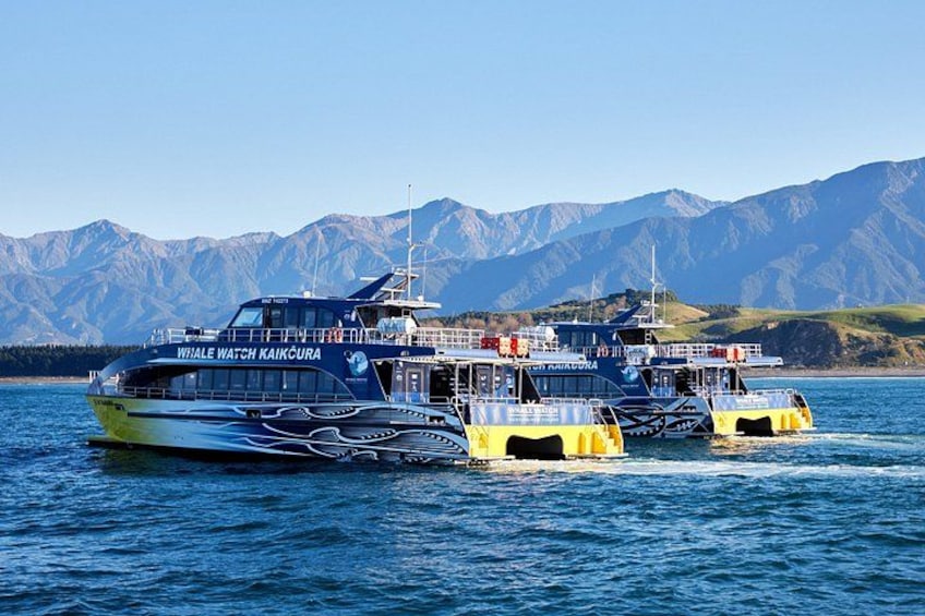 Een walvisspotterboot genaamd 'Whale Watch Kaikoura' op het water, met bergen op de achtergrond. 4
