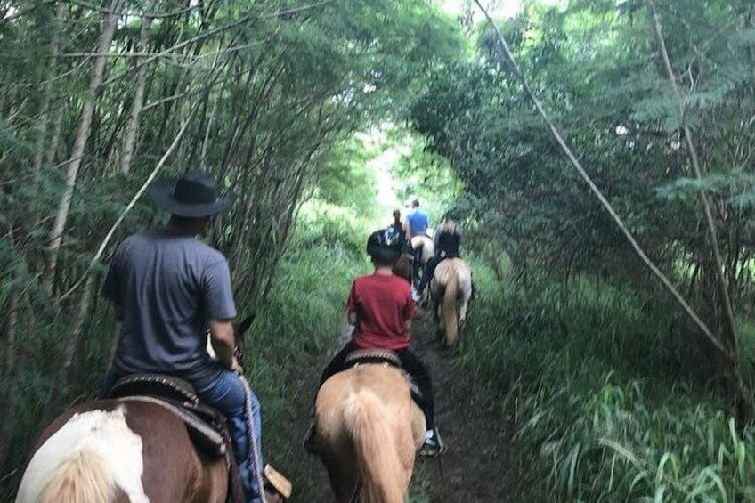 West Maui Mountain Waterfall and Ocean Tour via Horseback 2