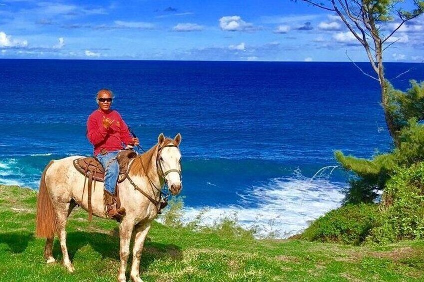 En person rider hest på en græsmark nær en kystlinje med oceanen i baggrunden. 2