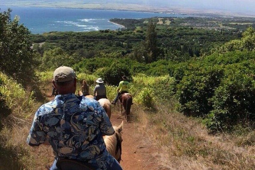 West Maui Mountain Waterfall and Ocean Tour via Horseback 3