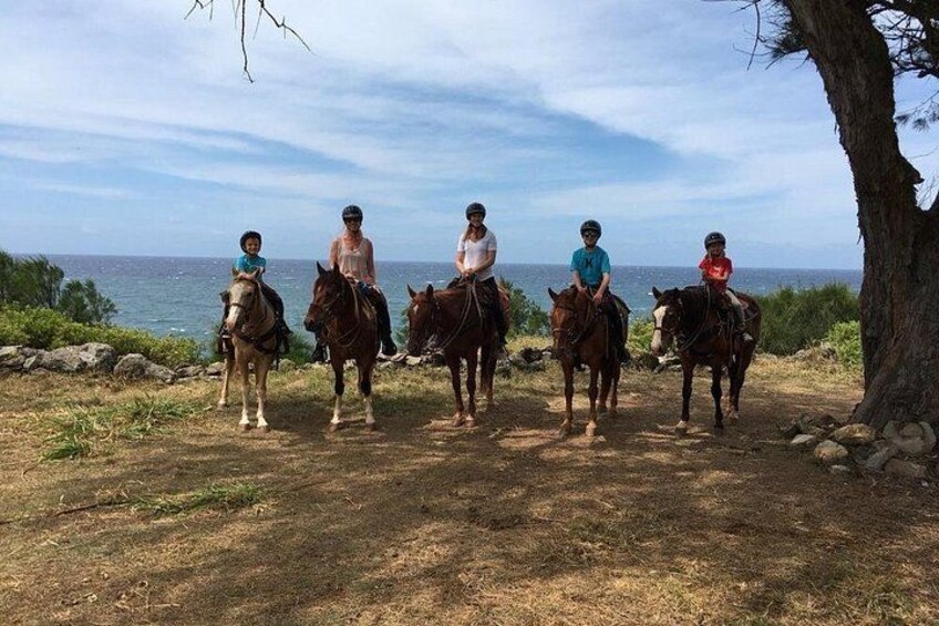 West Maui Mountain Waterfall and Ocean Tour via Horseback 3