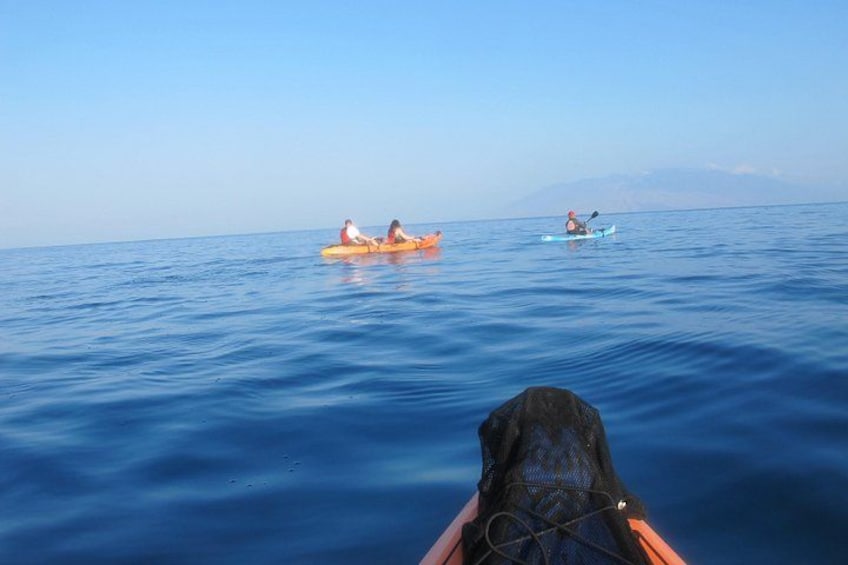 Makena Turtle Town Eco Adventure in Maui 2