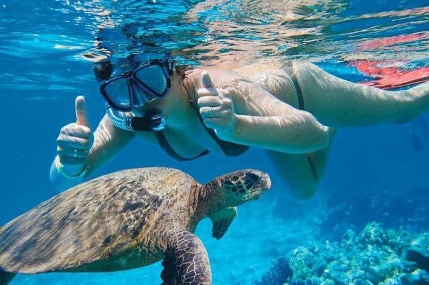 Snorkel with Turtles 4