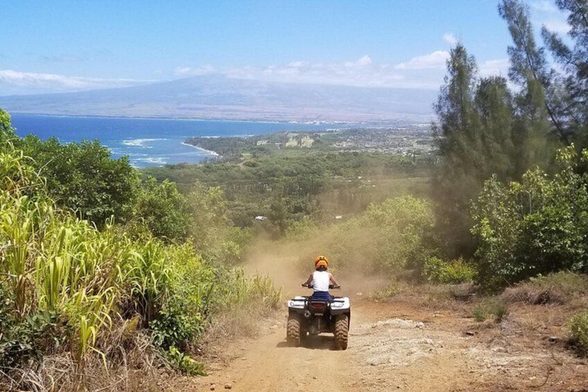 Gorgeous Views 3