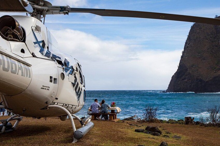 West Maui and Molokai with Oceanfront Landing Helicopter Tour 3