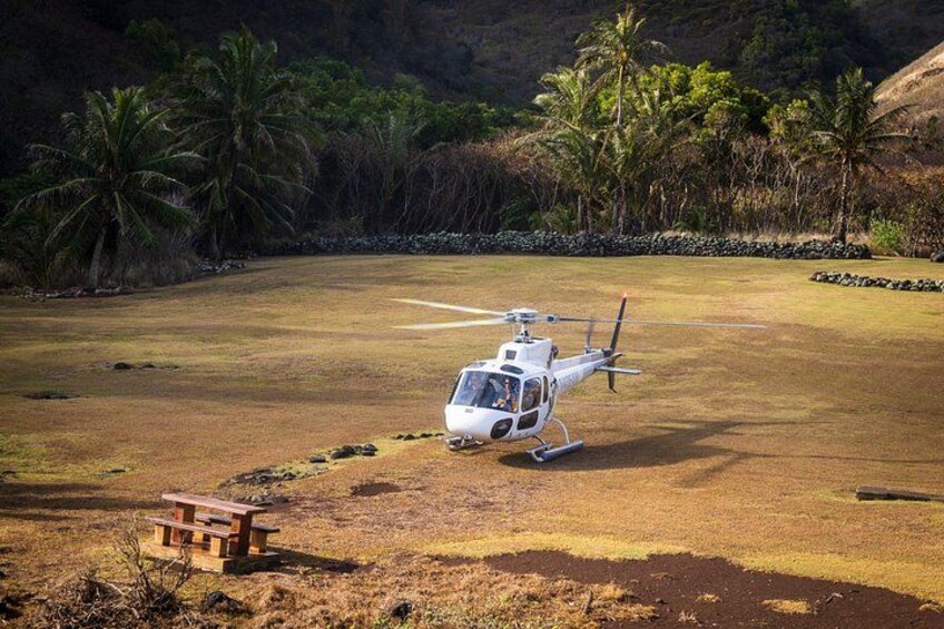 West Maui and Molokai with Oceanfront Landing Helicopter Tour 4