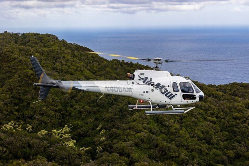 West Maui and Molokai with Oceanfront Landing Helicopter Tour 2