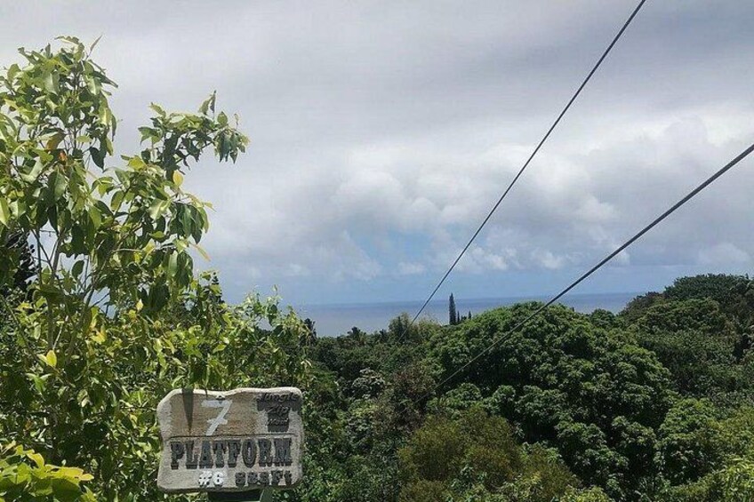 Maui Zipline Eco Adventure: 8 Lines through the Jungle 2
