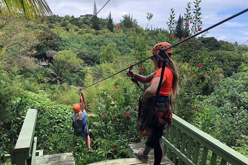 Maui Zipline Eco Adventure: 8 Lines through the Jungle 5