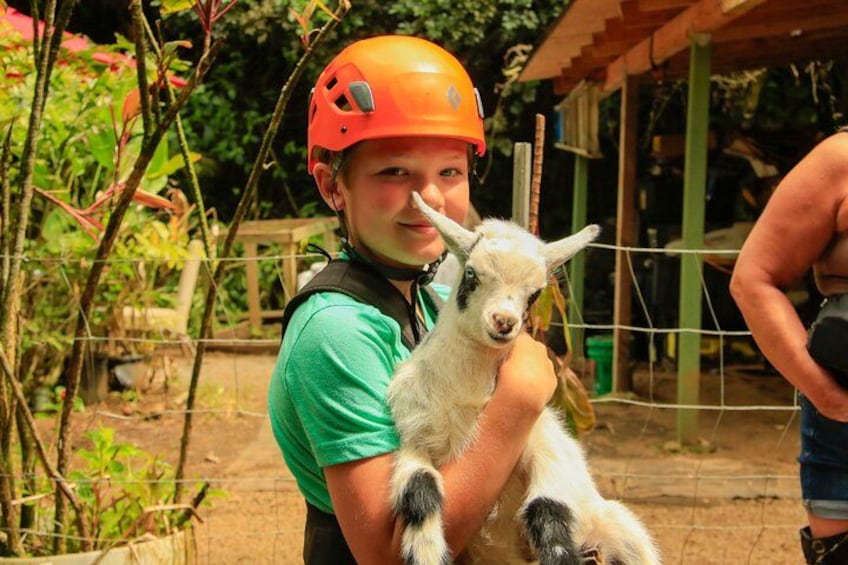 Maui Zipline Eco Adventure: 8 Lines through the Jungle 3