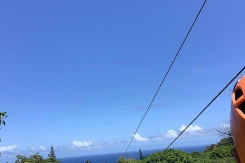 Maui Zipline Eco Adventure: 8 Lines through the Jungle 2