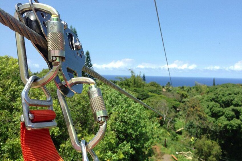 Jungle Zipline In Maui 1