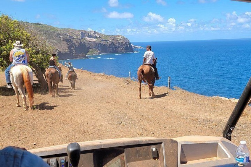 Maui Horseback Adventure at Circle M Ranch With Real Cowboys 2