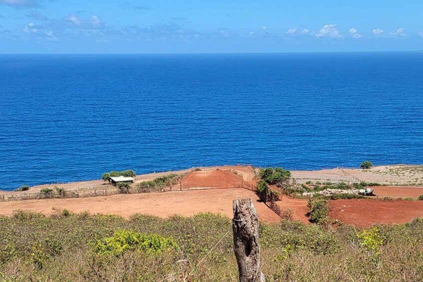 Maui Horseback Adventure at Circle M Ranch With Real Cowboys 2
