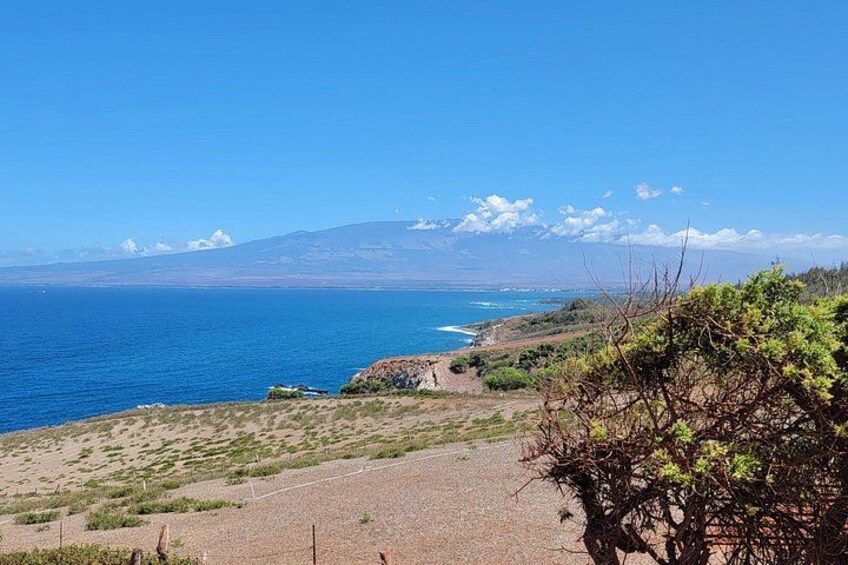 Maui Horseback Adventure at Circle M Ranch With Real Cowboys 2